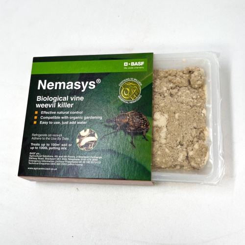 Nemasys Vine Weevil Killer Nematodes - Large Packet, 100m2